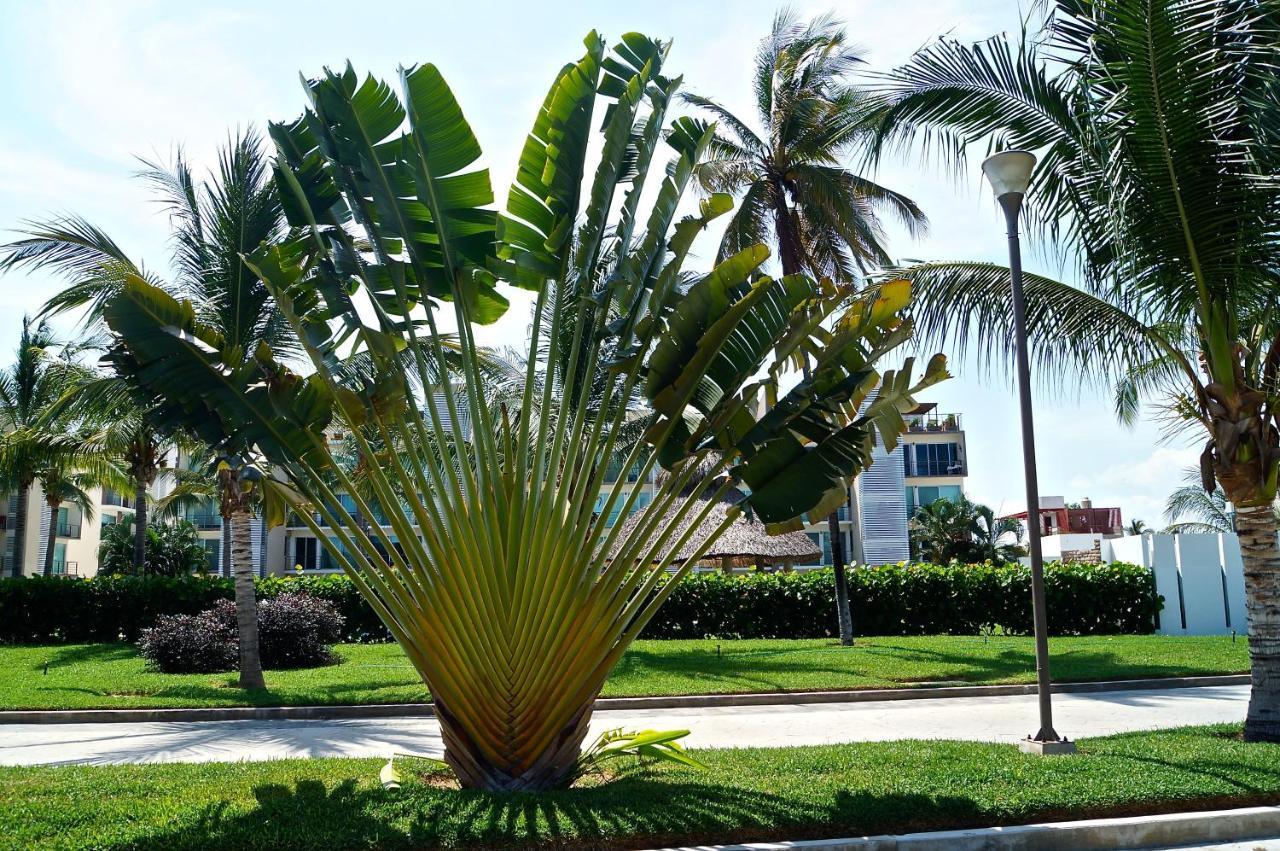Penthouse Con Jacuzzi En Diamante Acapulco